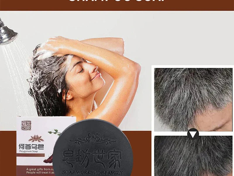 Adkartz™ POLYGONUM SHAMPOO BAR